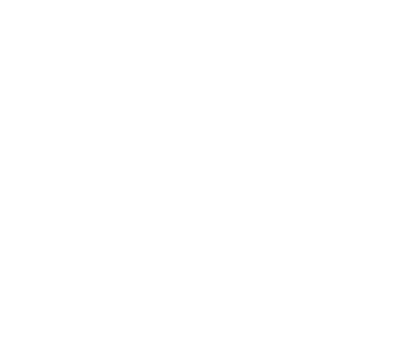 Fast Free Lane